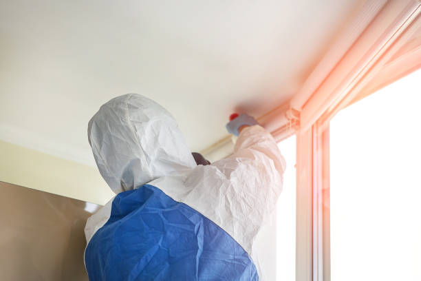 Why You Should Choose Our Mold Remediation Services in Queens, NY